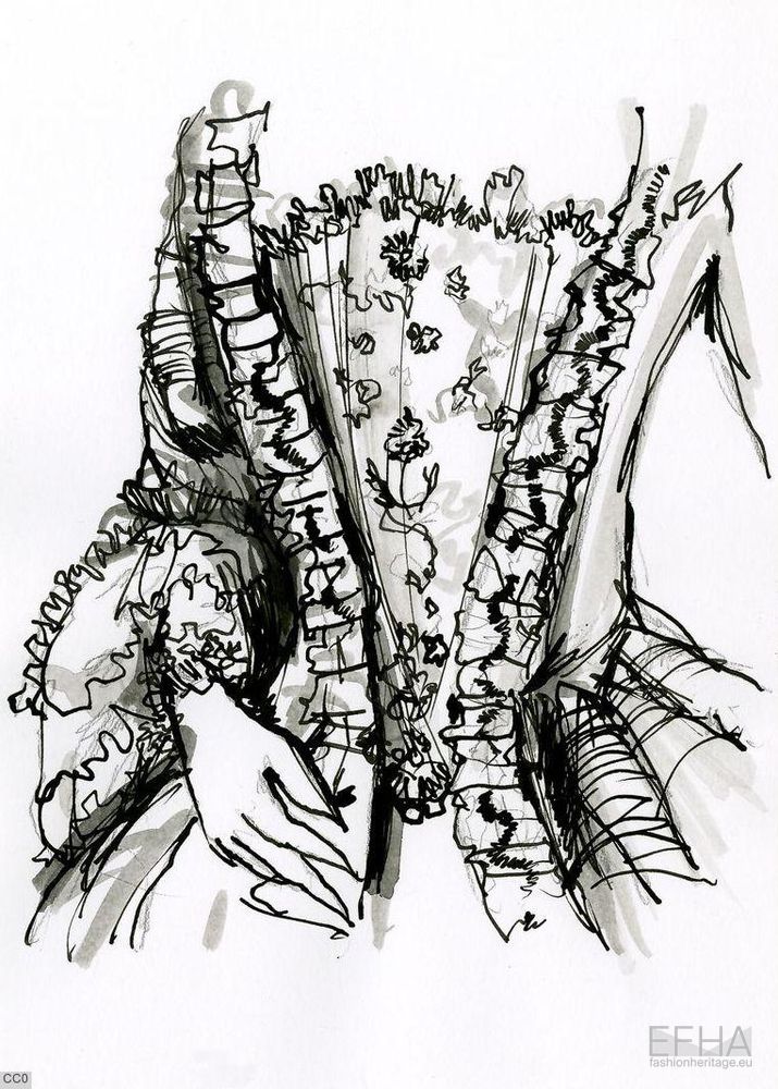 stomacher